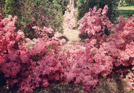 538488 3978791554570 71956339 n