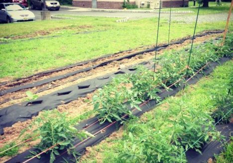 250750 4285439580579 411117748 n