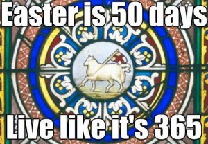 580428 10151411006633261 108334648 n