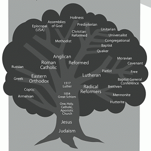 family-tree