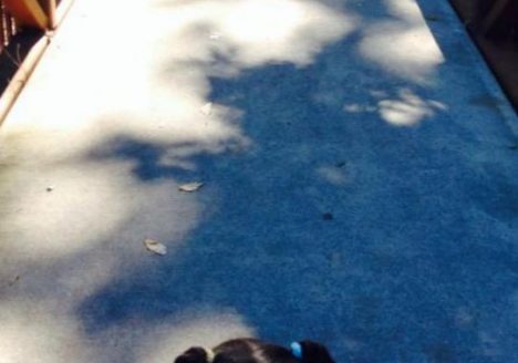 993414 10202344501560269 487843183 n