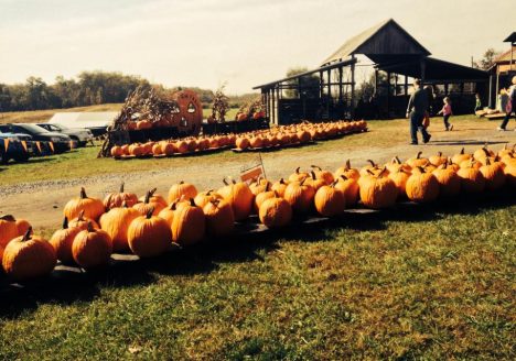 557231 10202500009967882 829831945 n