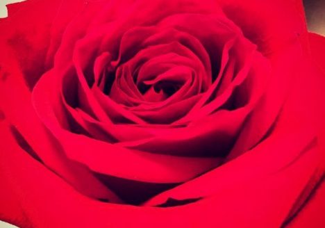 Fullscreen capture 532015 102926 AM.bmp